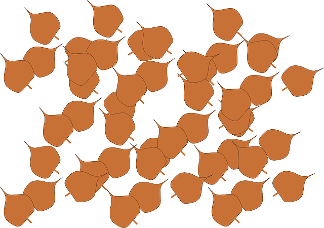 Free download Autumn Fall Leaves - Free vector graphic on Pixabay free illustration to be edited with GIMP free online image editor
