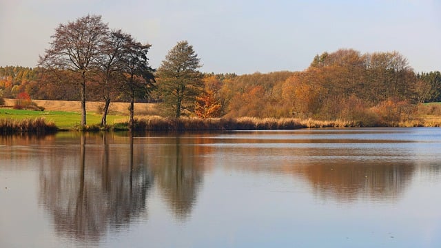 Free download autumn fall trees foliage nature free picture to be edited with GIMP free online image editor