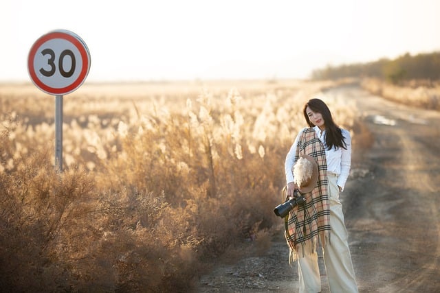 Free download autumn field reed woman wilderness free picture to be edited with GIMP free online image editor