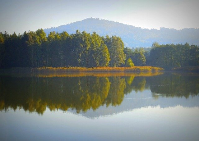 Free download Autumn Fish Pond -  free photo or picture to be edited with GIMP online image editor