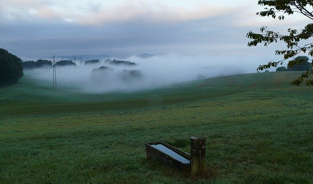 Free download Autumn Fog Nature -  free photo or picture to be edited with GIMP online image editor