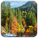 Floresta de outono de modelo de foto - para OffiDocs