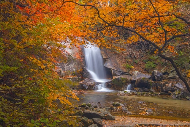 Free download autumn forest river waterfall free picture to be edited with GIMP free online image editor