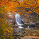 Autumn Forest Theme  screen for extension Chrome web store in OffiDocs Chromium