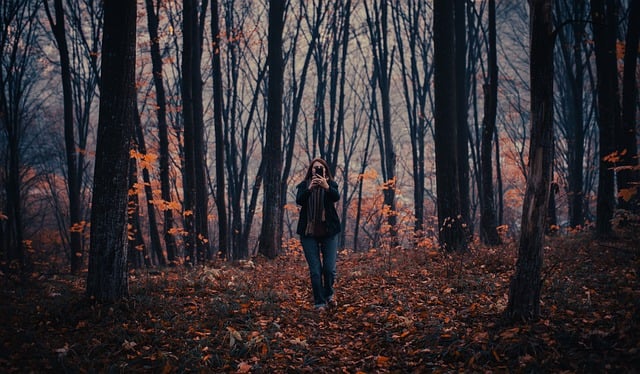 دانلود رایگان عکس طبیعت زن جوان جنگل پاییزی برای ویرایش با ویرایشگر تصویر آنلاین رایگان GIMP