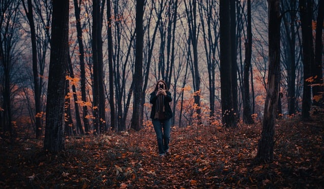 Free download autumn forest young woman nature free picture to be edited with GIMP free online image editor