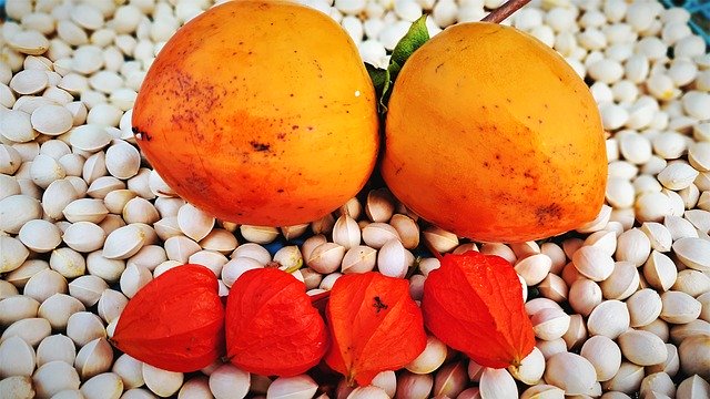 Muat turun percuma Autumn Fruit Persimmon Bank - foto atau gambar percuma untuk diedit dengan editor imej dalam talian GIMP