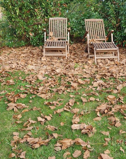 Baixe gratuitamente Autumn Garden Leaves - foto ou imagem gratuita para ser editada com o editor de imagens online do GIMP