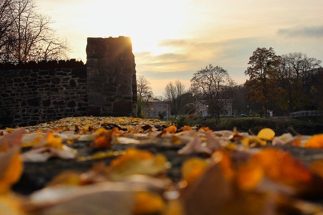 Kostenloser Download Herbstferien - kostenloses Foto oder Bild zur Bearbeitung mit GIMP Online-Bildbearbeitung