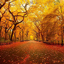 Autumn in New York 1366 X 768  screen for extension Chrome web store in OffiDocs Chromium
