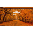 Autumn in the Morning  screen for extension Chrome web store in OffiDocs Chromium