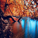 Шаблон фото Осеннее озеро - для OffiDocs