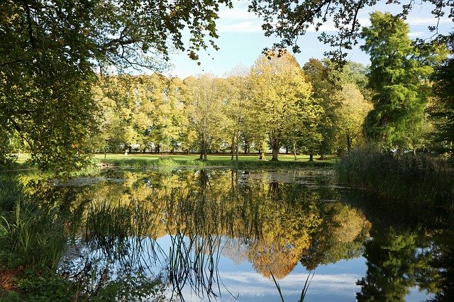 Téléchargement gratuit Autumn Lake Mirror - photo ou image gratuite à modifier avec l'éditeur d'images en ligne GIMP