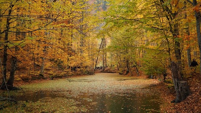 تنزيل Autumn Lake Nature مجانًا - صورة مجانية أو صورة لتحريرها باستخدام محرر الصور عبر الإنترنت GIMP