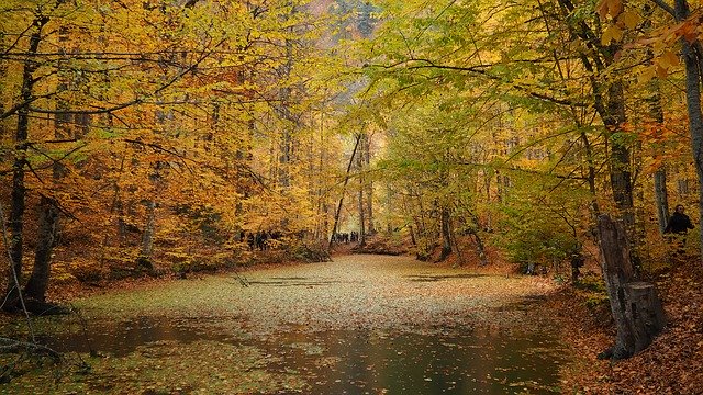 הורדה חינם Autumn Lake Nature - תמונה או תמונה בחינם לעריכה עם עורך התמונות המקוון GIMP