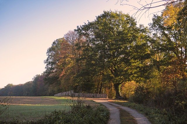 Téléchargement gratuit Paysage d'automne Couleur colorée - photo ou image gratuite à éditer avec l'éditeur d'images en ligne GIMP