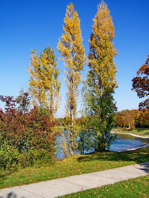 ดาวน์โหลดฟรี Autumn Landscape Discoloration - ภาพถ่ายหรือรูปภาพฟรีที่จะแก้ไขด้วยโปรแกรมแก้ไขรูปภาพออนไลน์ GIMP