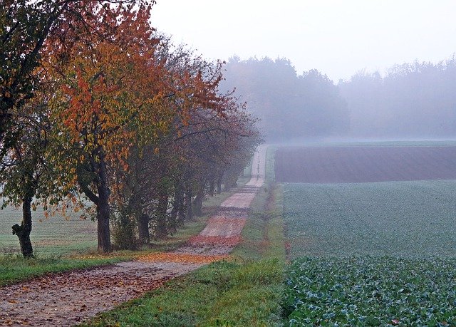 Template Photo Autumn Landscape Fog Away -  for OffiDocs