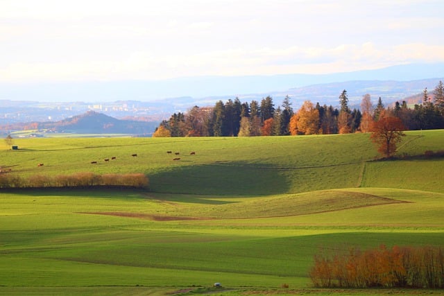 دانلود رایگان عکس مزارع علفزار چشم انداز پاییزی برای ویرایش با ویرایشگر تصویر آنلاین رایگان GIMP