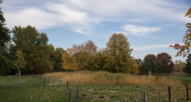 Template Photo Autumn Landscape Nature -  for OffiDocs