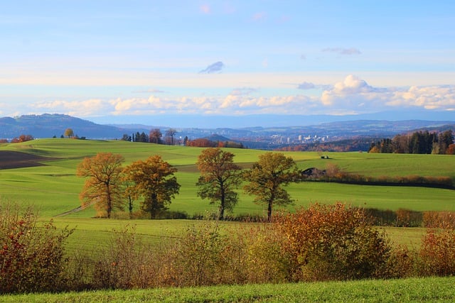 Kostenloser Download der Herbstlandschaft, Bäume, Natur, ländlich, kostenloses Bild zur Bearbeitung mit dem kostenlosen Online-Bildeditor GIMP