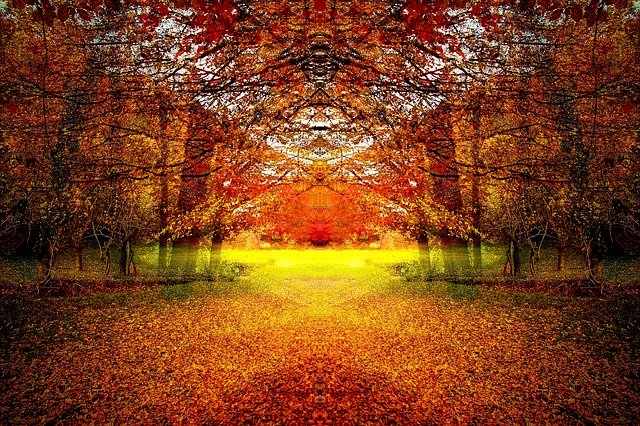 Free download Autumn Landscape Wood Forest -  free illustration to be edited with GIMP free online image editor