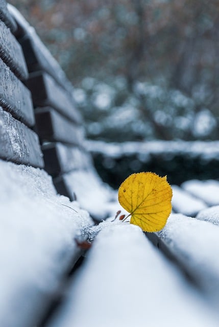 Безкоштовно завантажте осіннє листя сніг зима лавка безкоштовне зображення для редагування за допомогою безкоштовного онлайн-редактора зображень GIMP