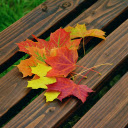 Autumn leaves  screen for extension Chrome web store in OffiDocs Chromium
