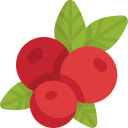 Autumn Leaves and Berries  screen for extension Chrome web store in OffiDocs Chromium