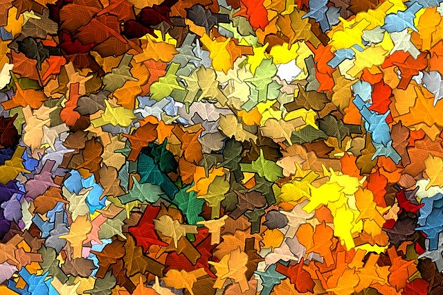 免费下载秋叶颜色 - 使用 GIMP 在线图像编辑器编辑的免费照片或图片