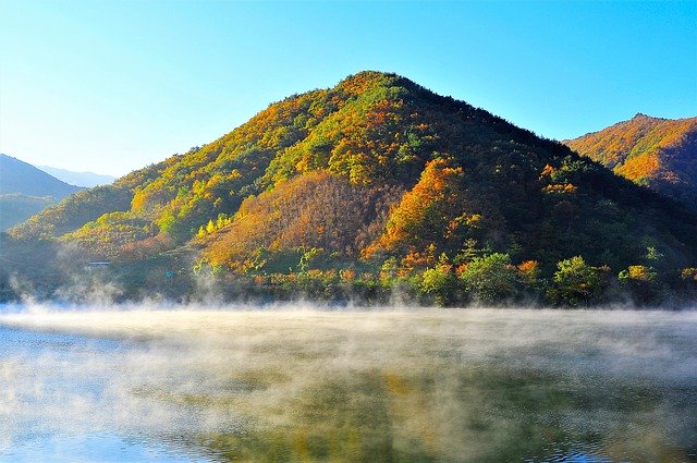 Download grátis Autumn Leaves Lake Water Mist - foto ou imagem grátis para ser editada com o editor de imagens online GIMP