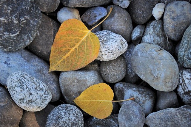 Free download autumn leaves rocks stones pebbles free picture to be edited with GIMP free online image editor