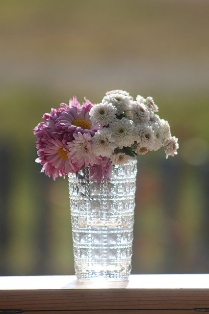 Unduh gratis Autumn Light Chrysanthemum - foto atau gambar gratis untuk diedit dengan editor gambar online GIMP