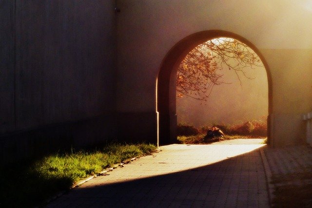 Free download Autumn Light The Sun -  free photo or picture to be edited with GIMP online image editor