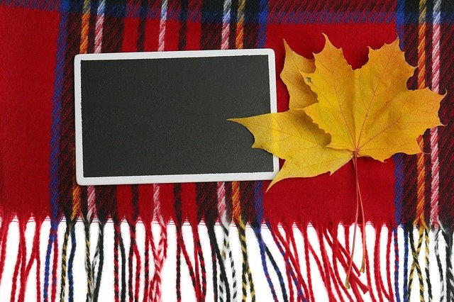 免费下载秋季枫叶板 - 可使用 GIMP 在线图像编辑器编辑的免费照片或图片
