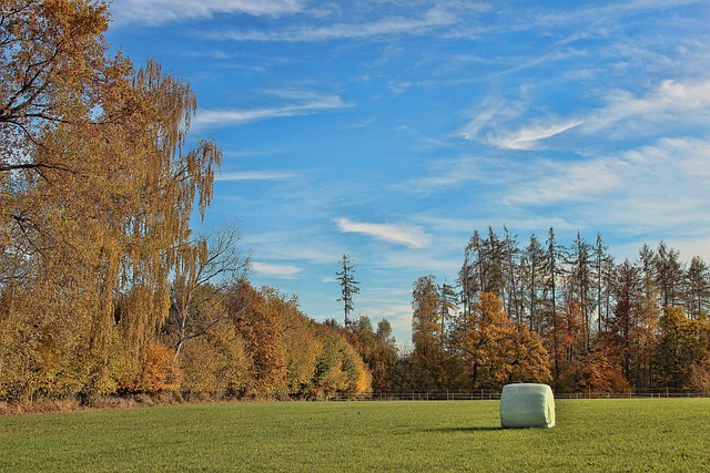 Free download autumn meadow hay bale free picture to be edited with GIMP free online image editor