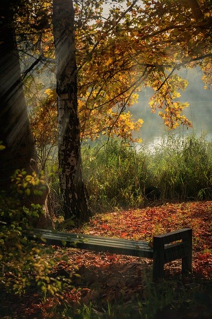 Muat turun percuma Autumn Moldova Nature - foto atau gambar percuma untuk diedit dengan editor imej dalam talian GIMP