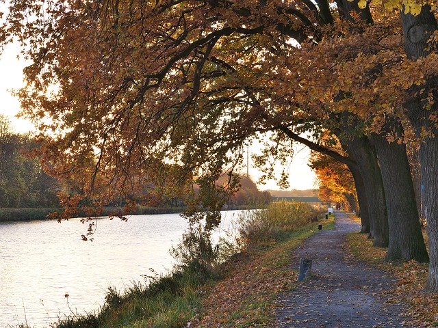 Free download Autumn Mood Dortmund Ems Kanal -  free free photo or picture to be edited with GIMP online image editor