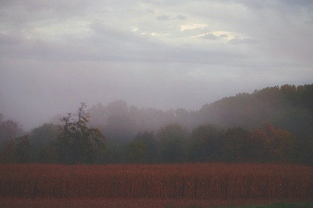 Bezpłatne pobieranie Jesienna poranna mgła polna - bezpłatne zdjęcie lub obraz do edycji za pomocą internetowego edytora obrazów GIMP