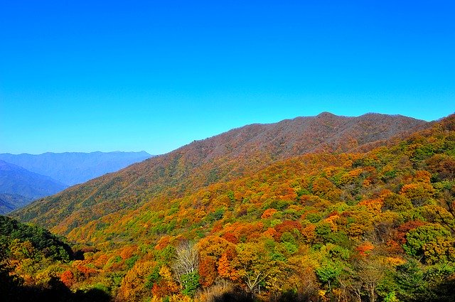 Скачать бесплатно Autumn Mountain Leaves - бесплатное фото или изображение для редактирования с помощью онлайн-редактора GIMP