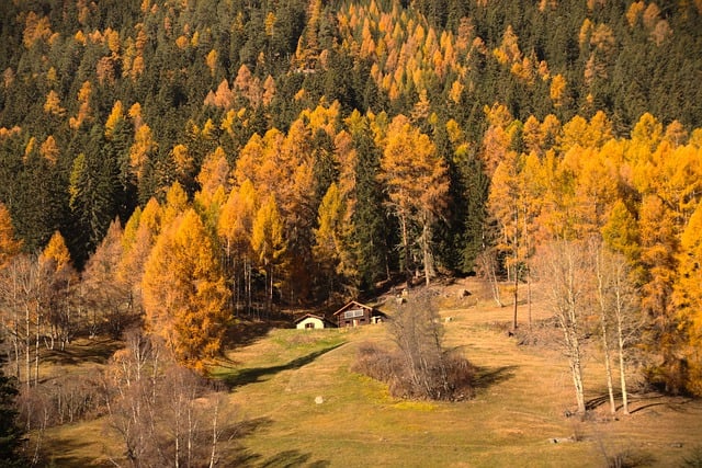 Free download autumn mountains cabin forest free picture to be edited with GIMP free online image editor