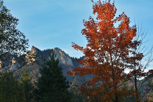 免费下载秋山风景免费照片模板，可使用 GIMP 在线图像编辑器进行编辑