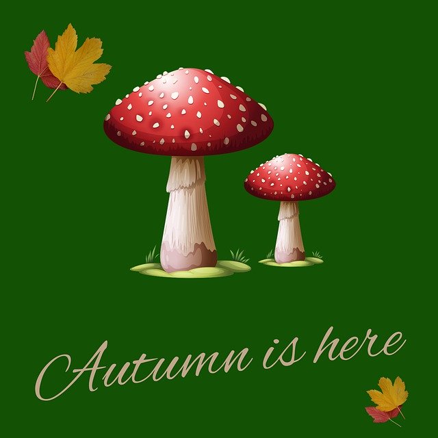 Template Photo Autumn Mushroom Forest -  for OffiDocs