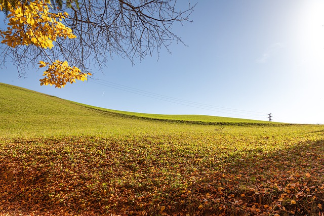 Free download autumn nature fall grass field free picture to be edited with GIMP free online image editor