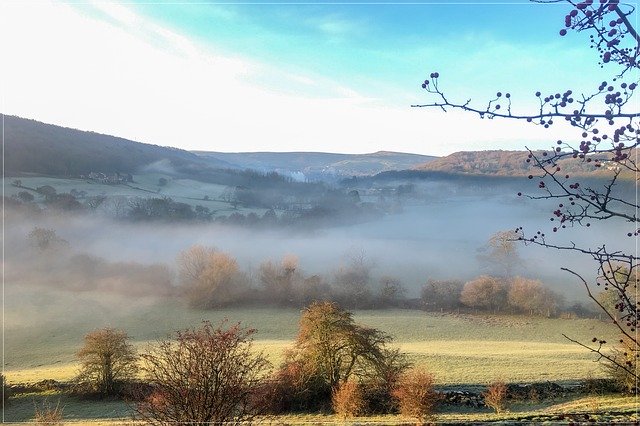 Bezpłatne pobieranie Jesienna mgła natury - bezpłatne zdjęcie lub obraz do edycji za pomocą internetowego edytora obrazów GIMP