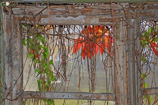 Free download Autumn Old Window -  free photo or picture to be edited with GIMP online image editor