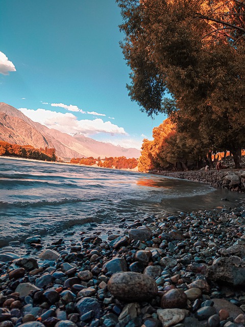 無料ダウンロード秋の屋外風景日光無料画像をGIMP無料オンライン画像エディタで編集する