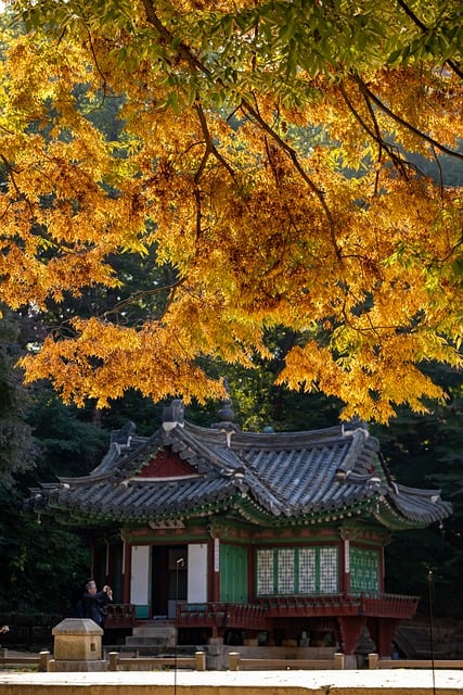 Free download autumn palace full width free picture to be edited with GIMP free online image editor
