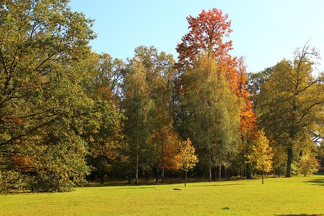 Free download Autumn Park Colors -  free photo or picture to be edited with GIMP online image editor