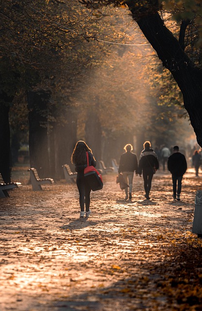 Free download autumn park golden hour portrait free picture to be edited with GIMP free online image editor